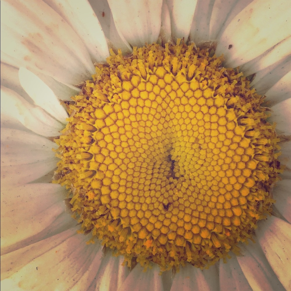 All must go ask or make an offer